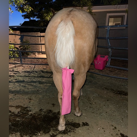 retro lassies Other Horse Tail Bag Poshmark